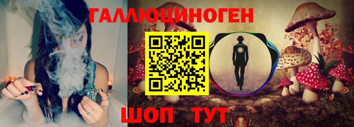 Галлюциногенные грибы Psilocybine cubensis Реутов