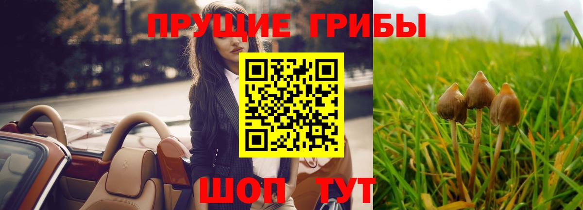 Псилоцибиновые грибы MAGIC MUSHROOMS  Вход с VPN  Реутов 
